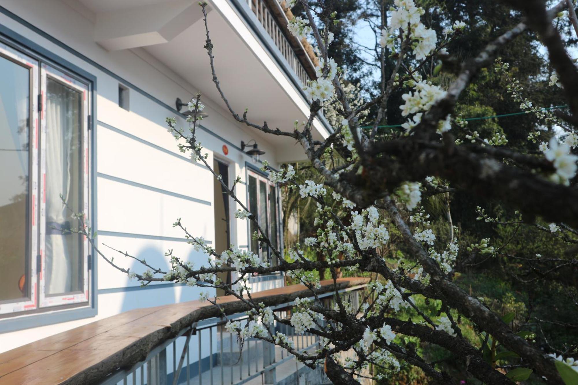 Maison d'hôtes Mây Núi Sa Pa